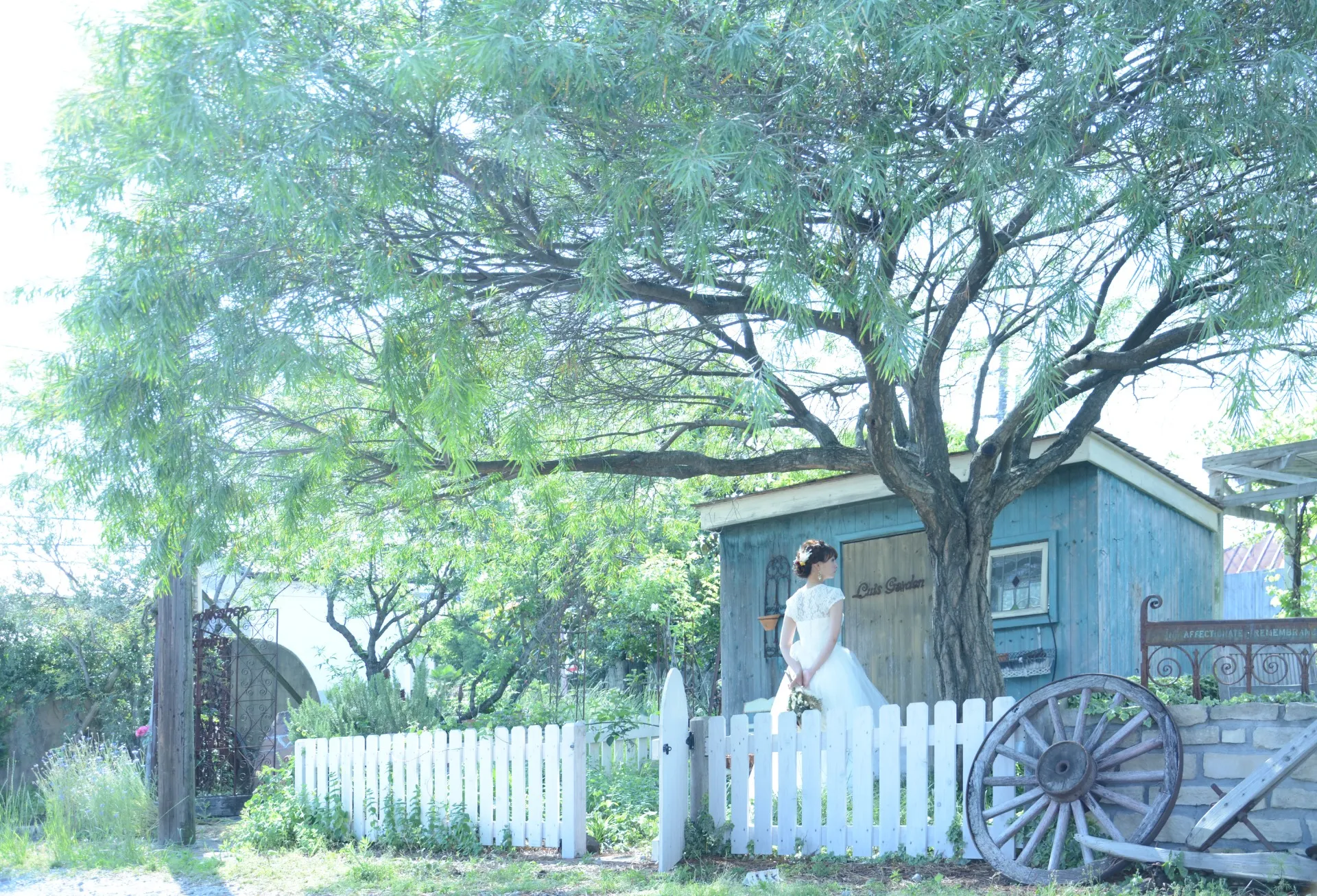 JUNK GARDENの中で